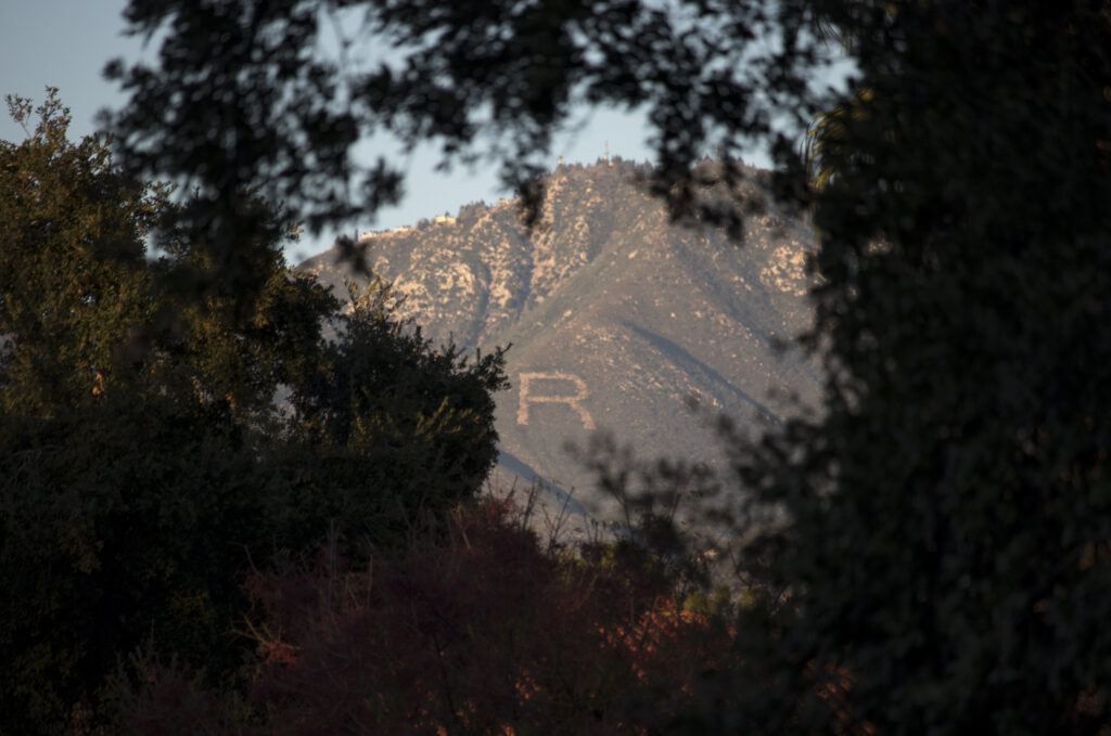 UoR Landscape Shot The R Framed by Live Oaks 1 Done v2