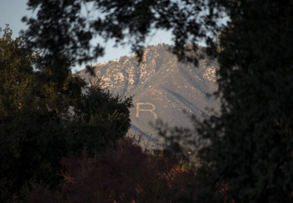 UoR Landscape Shot The R Framed by Live Oaks 1 Done v2